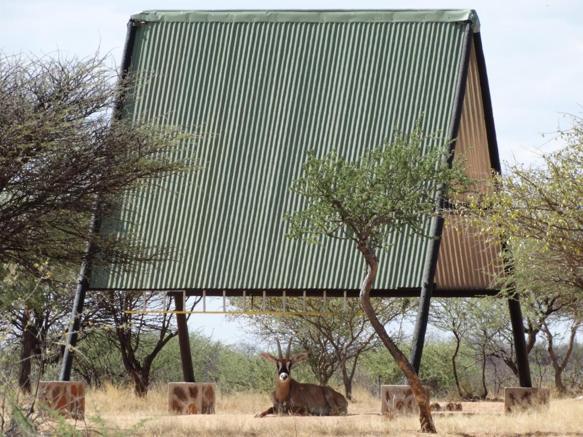 Ovita Wildlife Restcamp Okazize 外观 照片